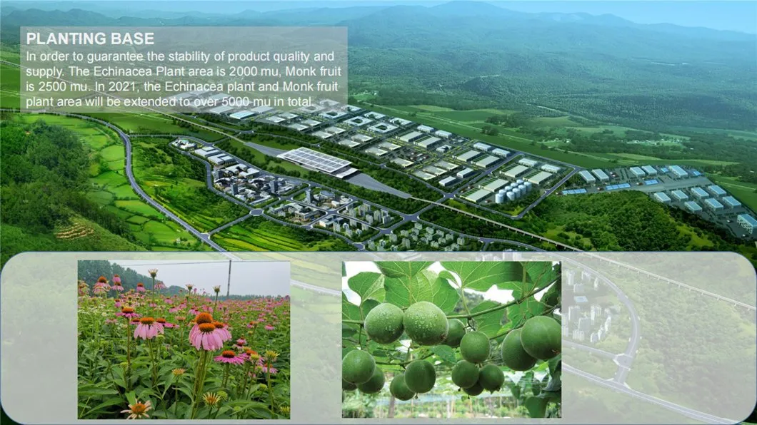 High Quality Tongkat Ali Extract Powder 1%-12% Eurycomanone