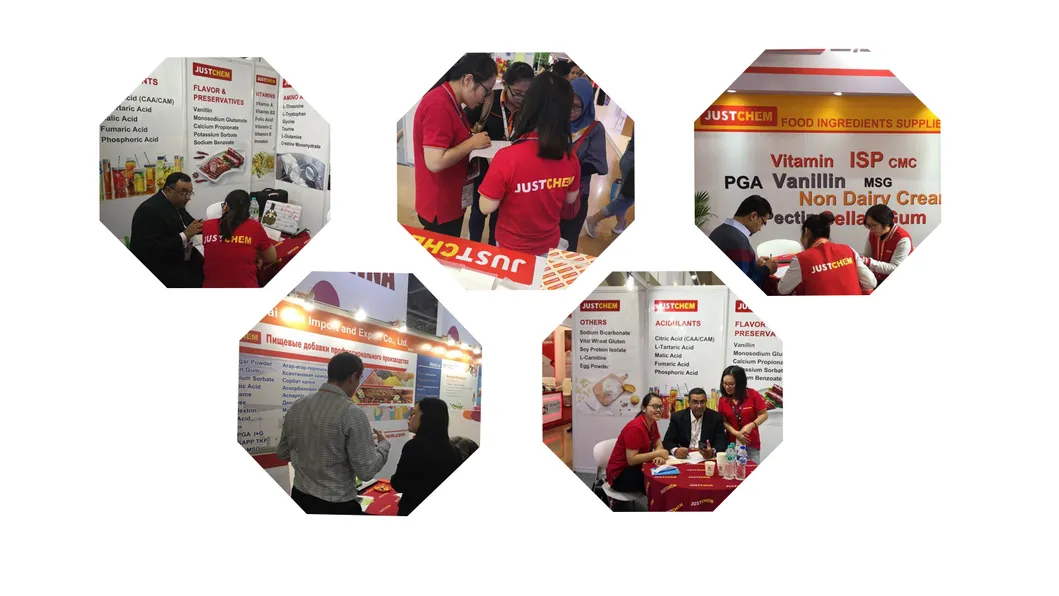 Hordenine Hydrochloride CAS No. 6027-23-2 for Curing Diabetes Mellitus Health Care Products