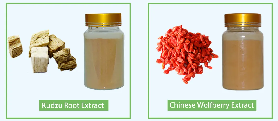 Horse Chestnut Extract 20% Aescins