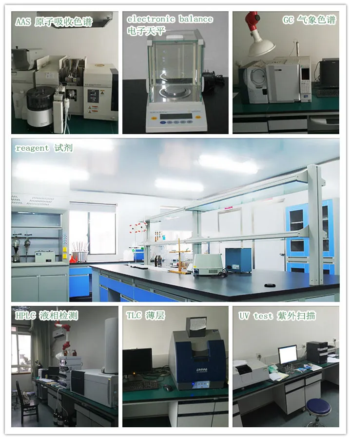 Hot Sale Basil Extract with High Quality (Ratio: 4: 1-20: 1) Ocimum Sanctum P. E.