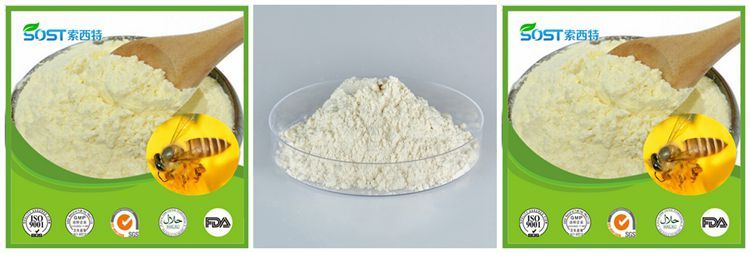 Hot Sale Lyophilized Royal Jelly, Royal Jelly Lyophilized Powder, Lyophilized Royal Jelly Powder