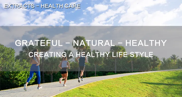 Huperzia Serrata Extract Powder 1%-99% CAS 102518-79-6 Huperzine a