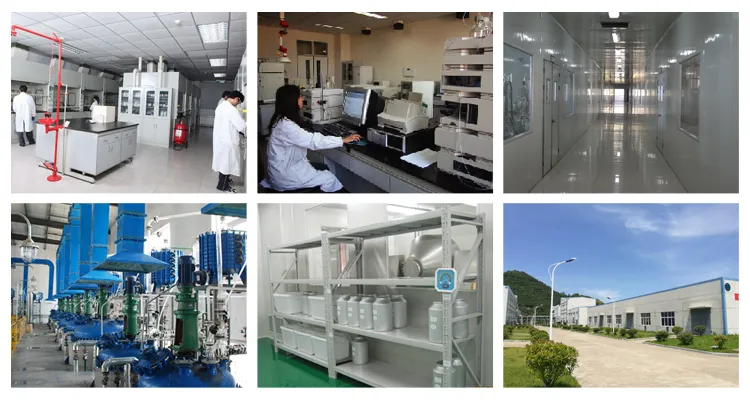 Huperzia Serrata Extract Powder 1%-99% CAS 102518-79-6 Huperzine a