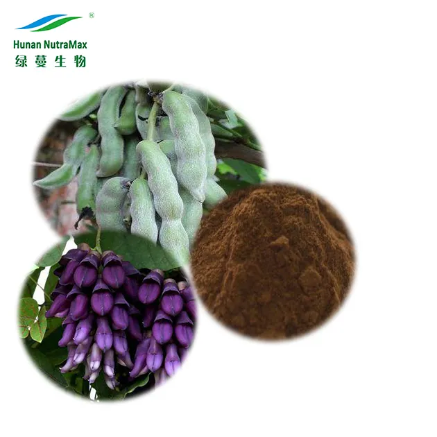 Increase Bone Density Reverse Osteoporosis 10%~98% L-Dopa Mucuna Extract