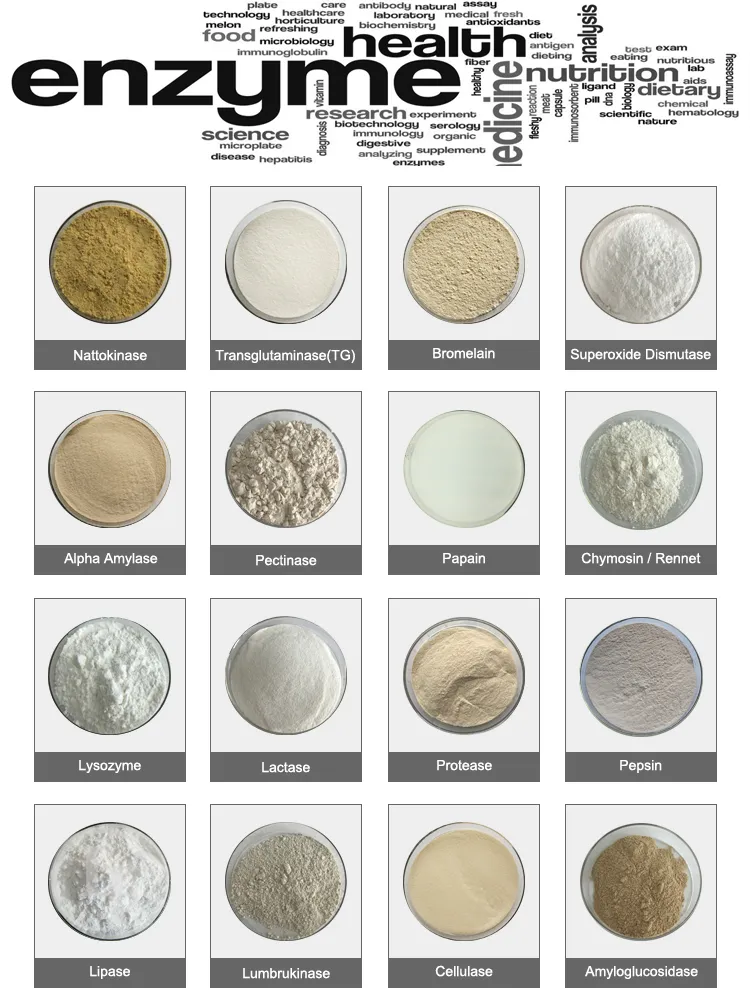 Insen Supply Best Price Phytase Enzyme