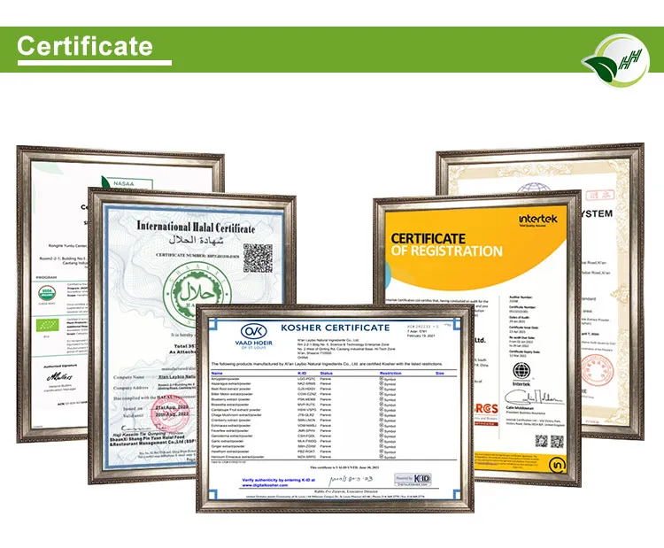 ISO/Brc/Halal/Kosher Certified Saw Palmetto Extract