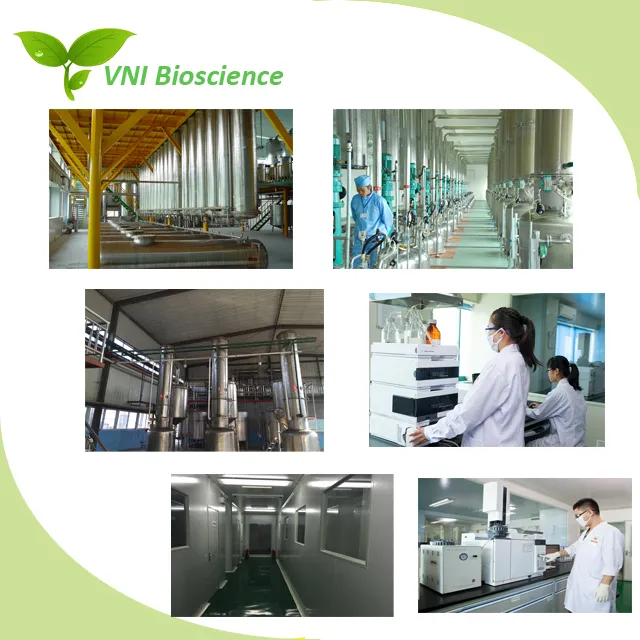 ISO Certified 100% Natural 5-Htp Griffonia Simplicifolia Extract Griffonia Seed Extract