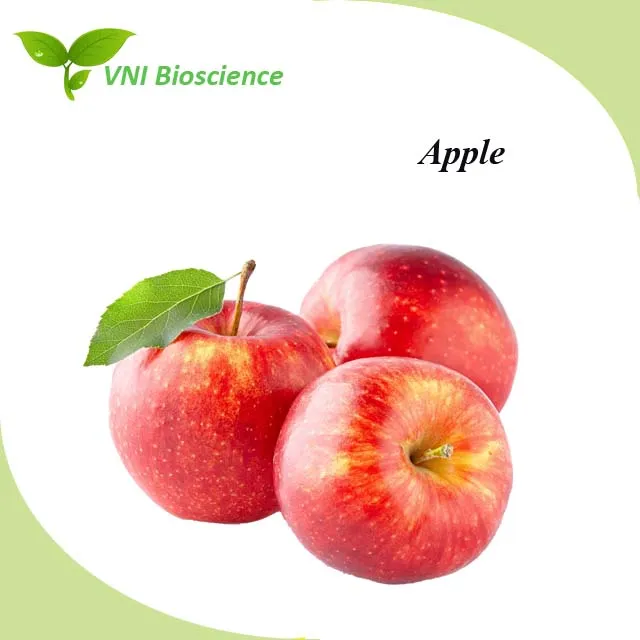 ISO Certified 100% Natural Phlorizin Powder Apple Extract Lower The Risk of Colon and Lung Cancer