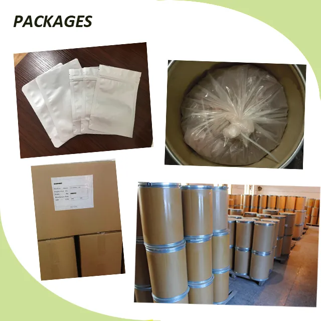 ISO Certified Manufacturer Supply Natural Pine Bark Extract
