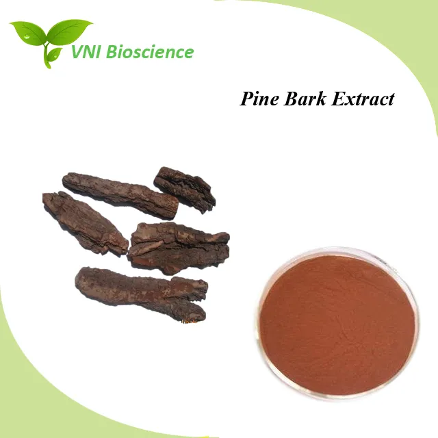 ISO Certified Manufacturer Supply Natural Pine Bark Extract