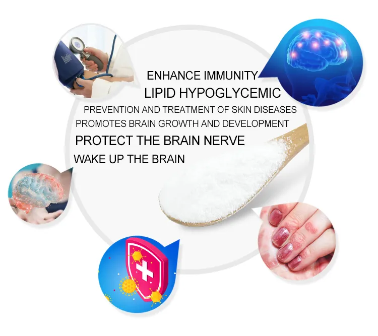 ISO Factory Supply Acer Truncatum Extract 90% Nervonic Acid