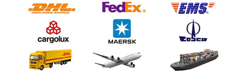 ISO Factory Supply Organic Ceylon Cinnamon Powder Price