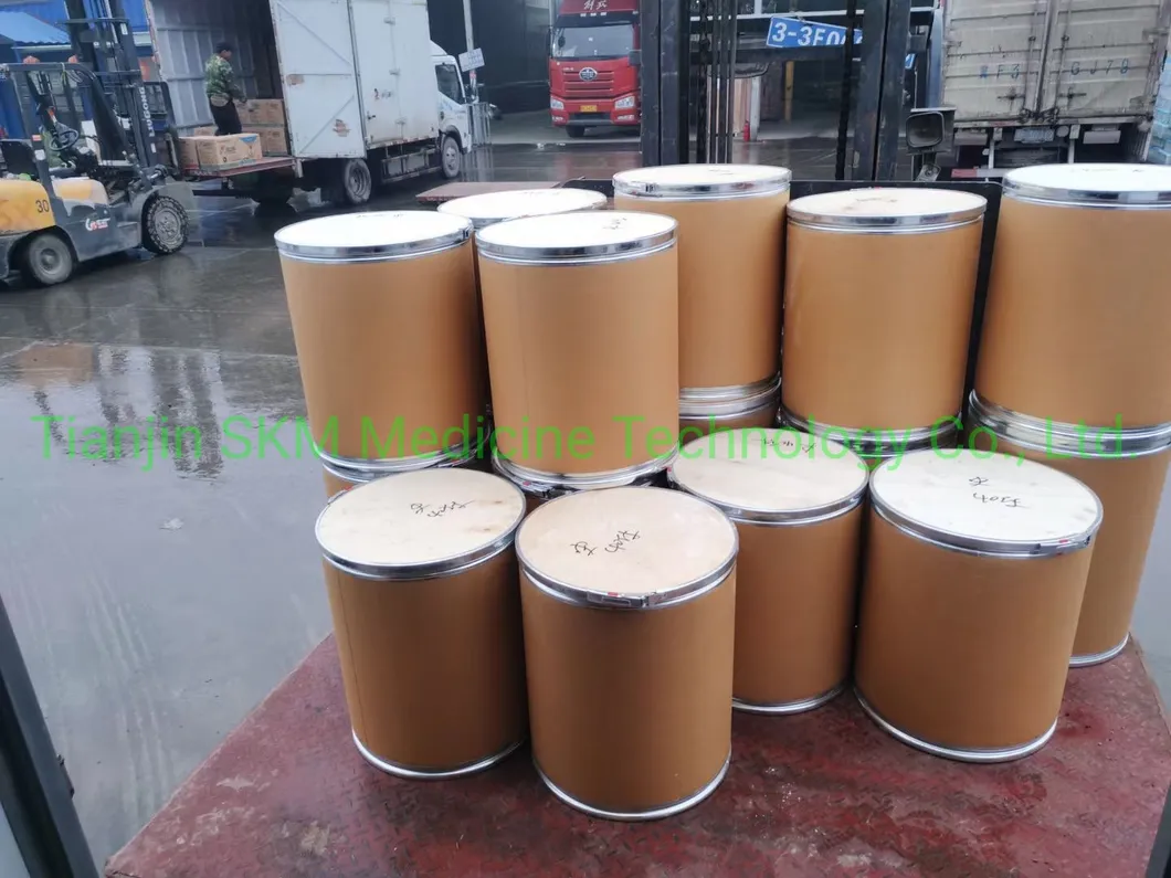 ISO SGS Certified Holy Basil Extract/Ocimum Sanctum Extract