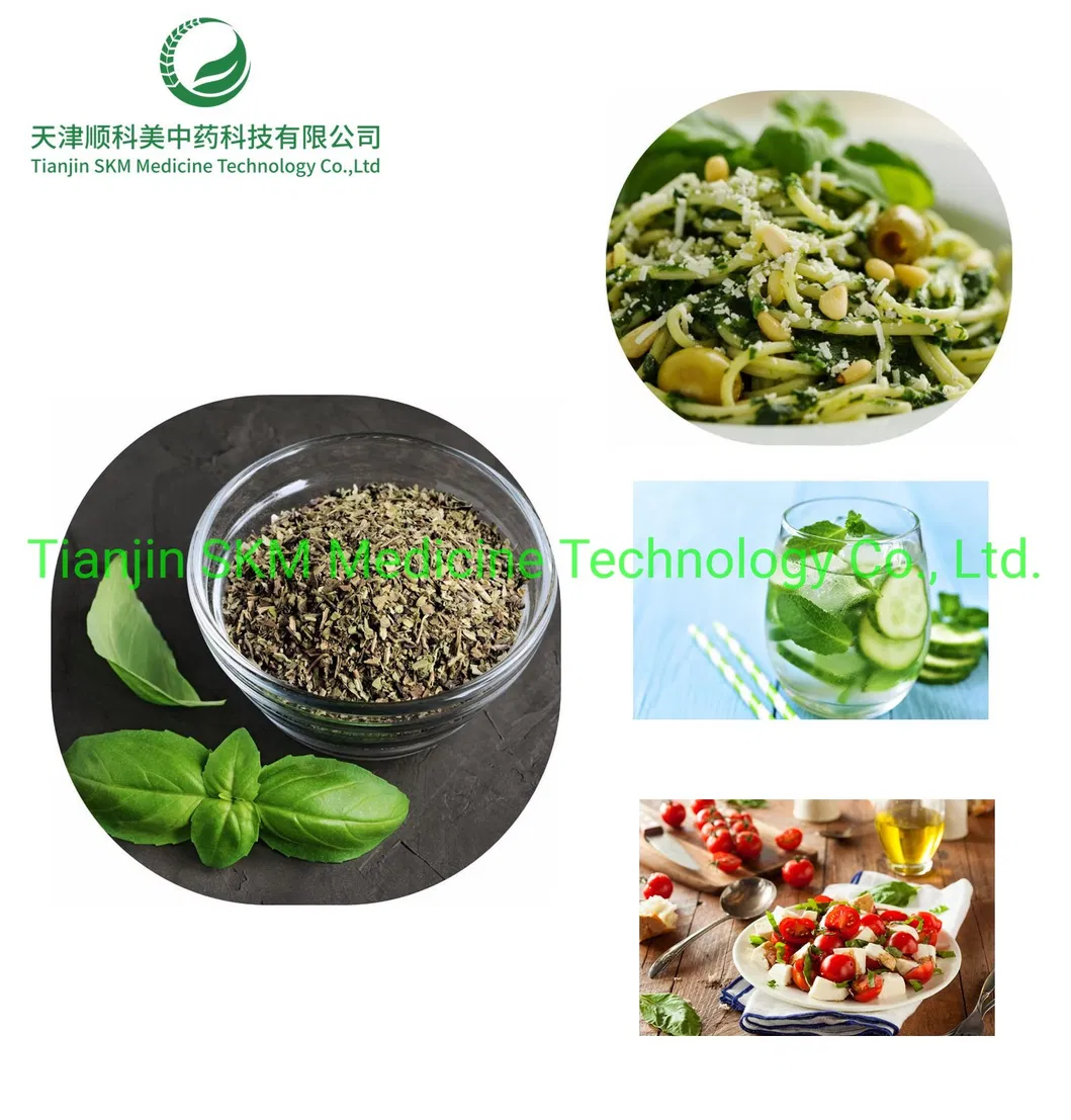ISO SGS Certified Holy Basil Extract/Ocimum Sanctum Extract