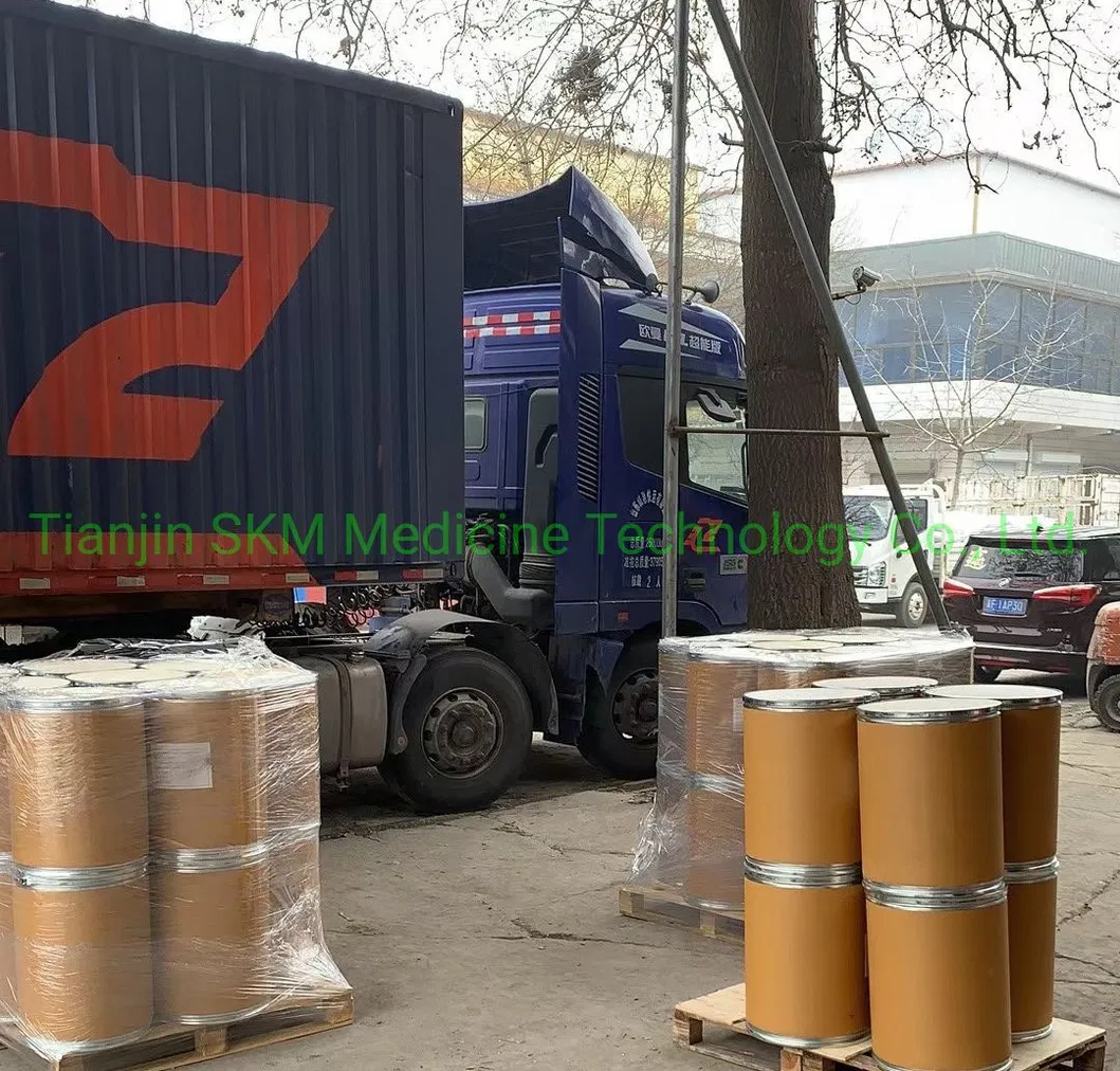 ISO SGS Certified Holy Basil Extract/Ocimum Sanctum Extract