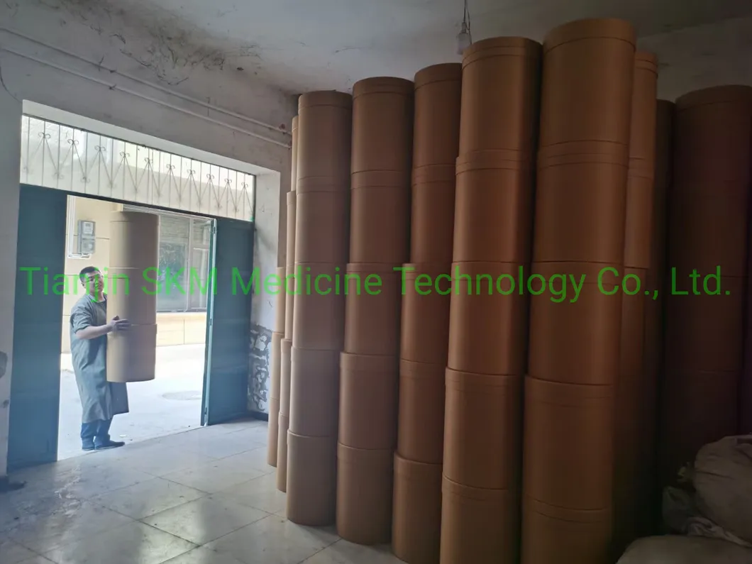 ISO SGS Certified Holy Basil Extract/Ocimum Sanctum Extract