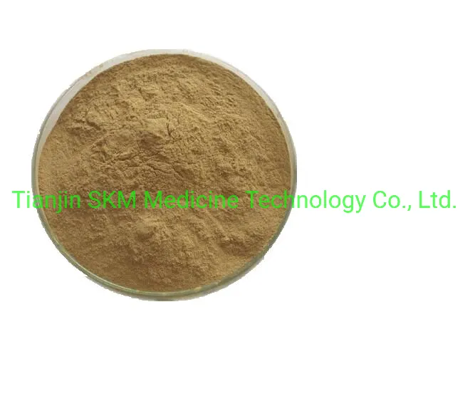 ISO SGS Certified Holy Basil Extract/Ocimum Sanctum Extract