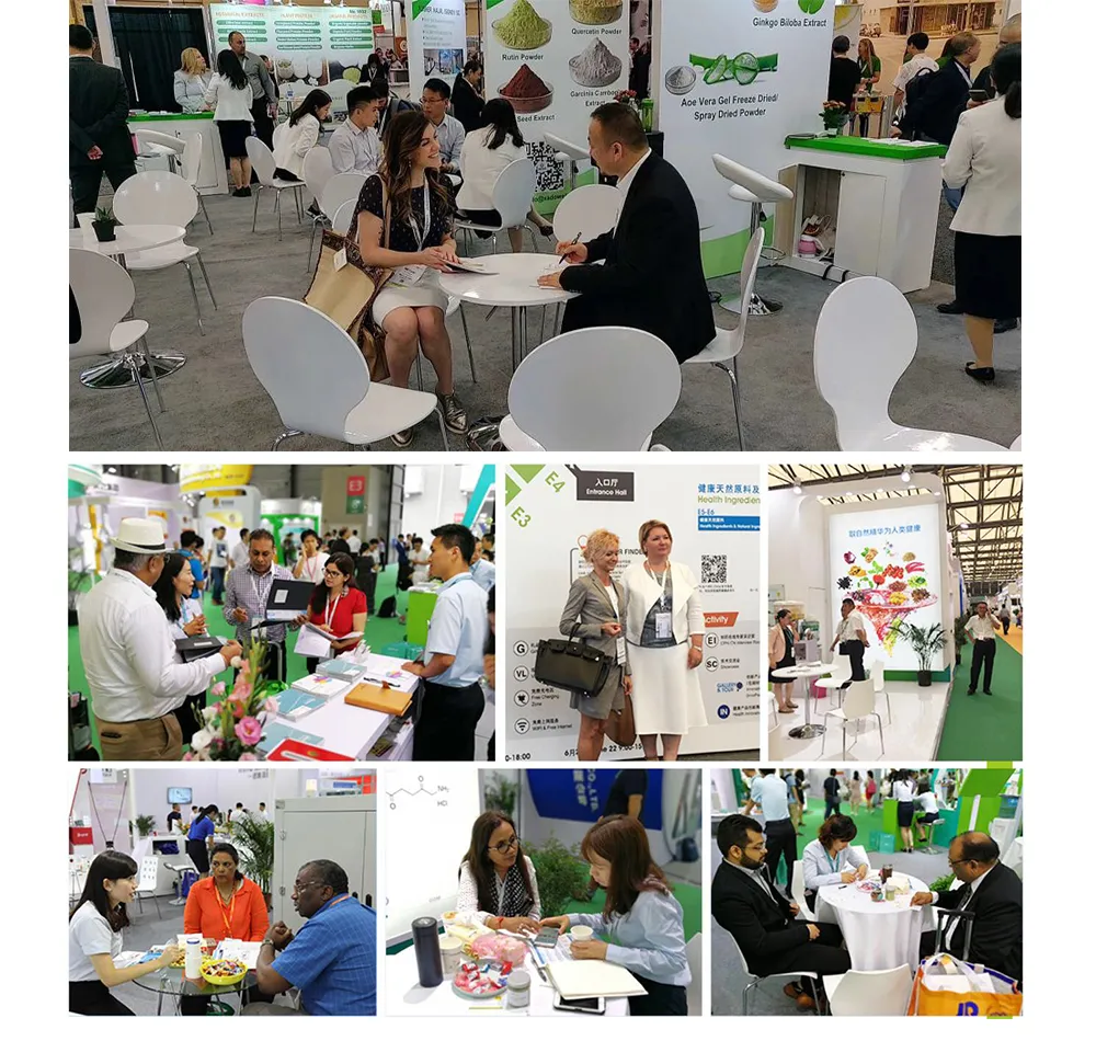 Kelp Extract Fucoidan 10% 20% 50% 85% 95% 98% Powder