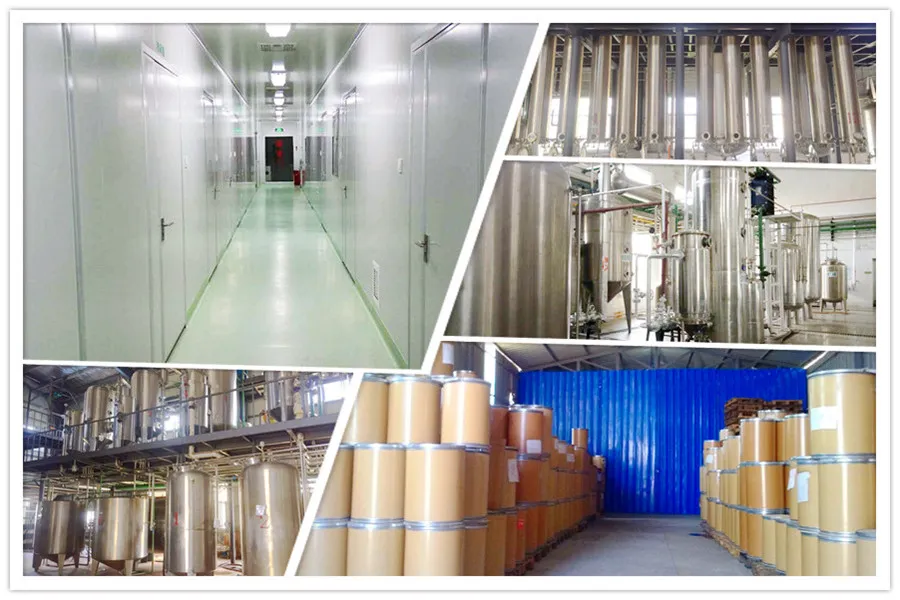 Kiwiberry Actinidia Arguta Actinidia Kiwi Extract