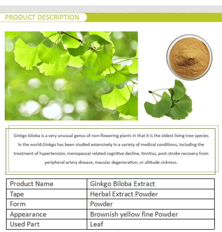Leaf Extract HPLC CAS No 33570-04-6 Bilobalide Ginkgo Biloba