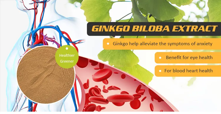 Leaf Extract HPLC CAS No 33570-04-6 Bilobalide Ginkgo Biloba
