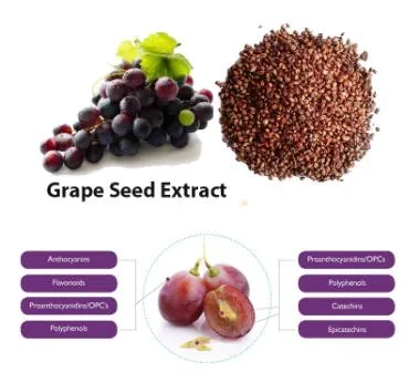Lisi Supply Natural Grape Seed Extract OPC