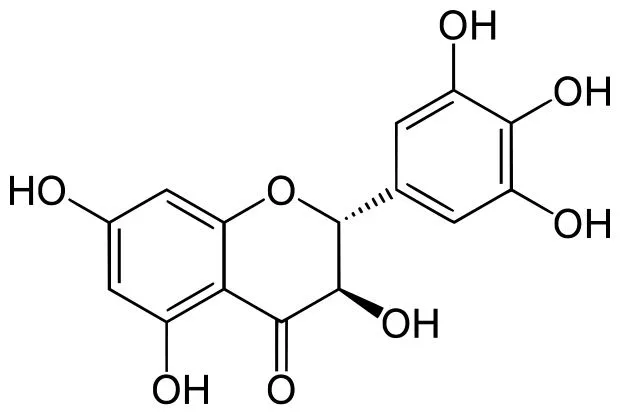 Liver Protection Vine Tea Extract Dihydromyricetin Dhm 98% Myricetin