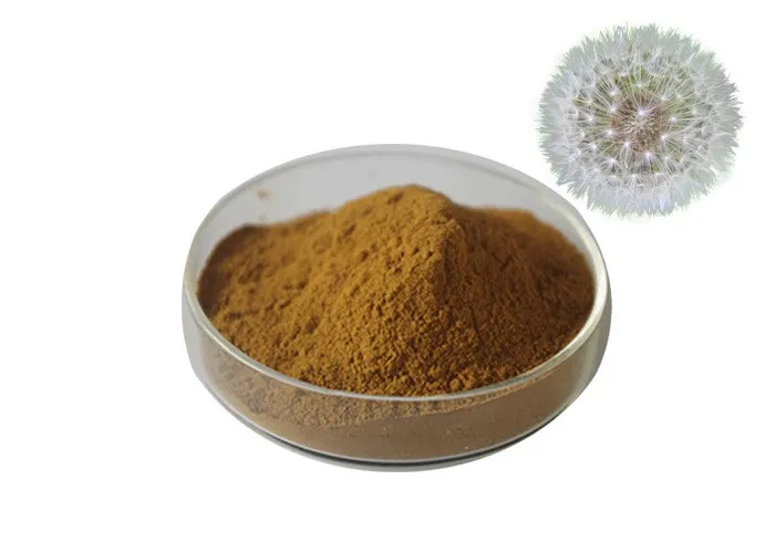 Lower Blood Pressure Herbal Plant Extract Flavones Dandelion Root Extract Powder