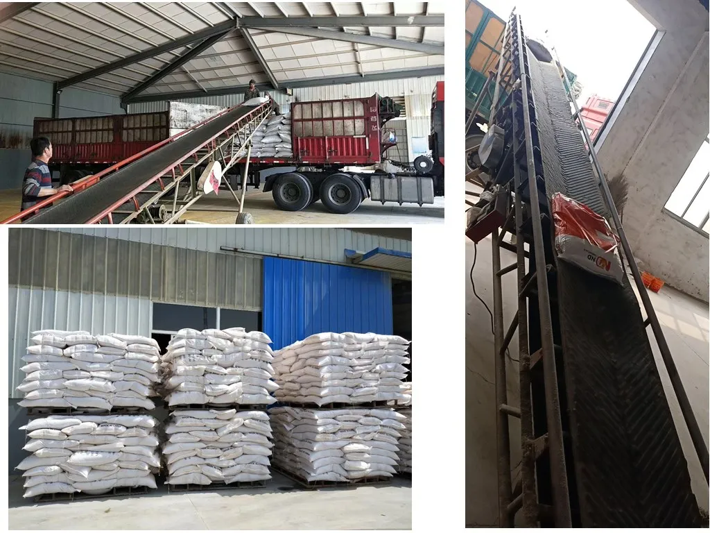 Lysozyme Feed Grade with Best Quality Hot Sale