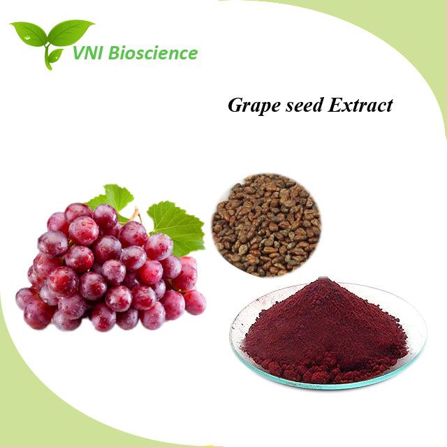 Manufacturer Supply 100% Natural Grape Seed Extract for Improve Immunity