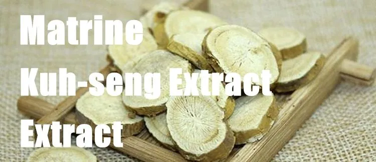 Matrine 98% Powder Insecticide Matrine Kuh-Seng Extract Matrine