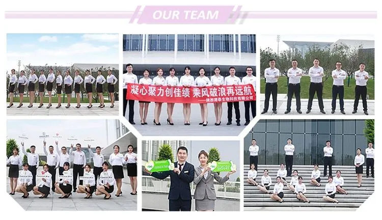 Matrine 98% Powder Insecticide Matrine Kuh-Seng Extract Matrine