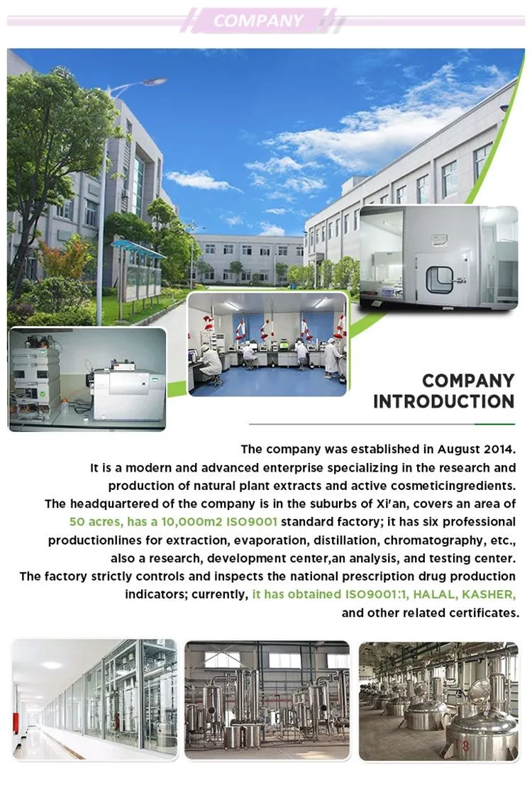 Matrine 98% Powder Insecticide Matrine Kuh-Seng Extract Matrine