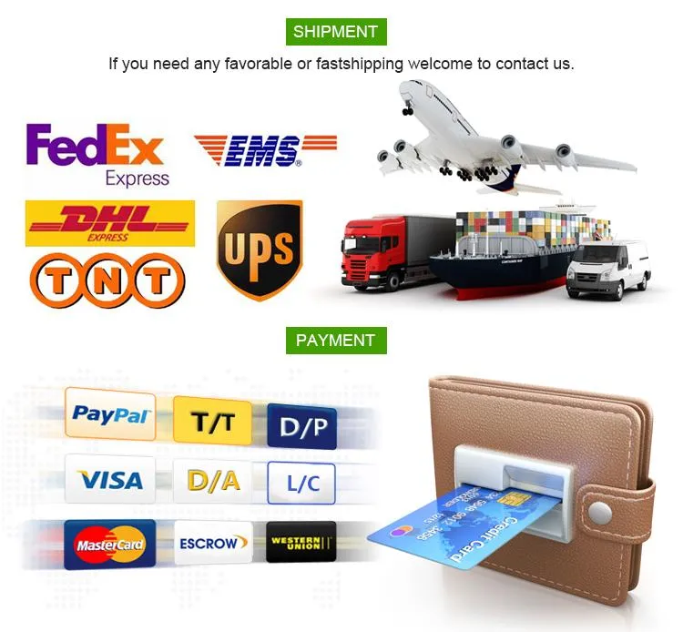 Medical Level D-Camphor CAS 464-49-3 with Top Quality