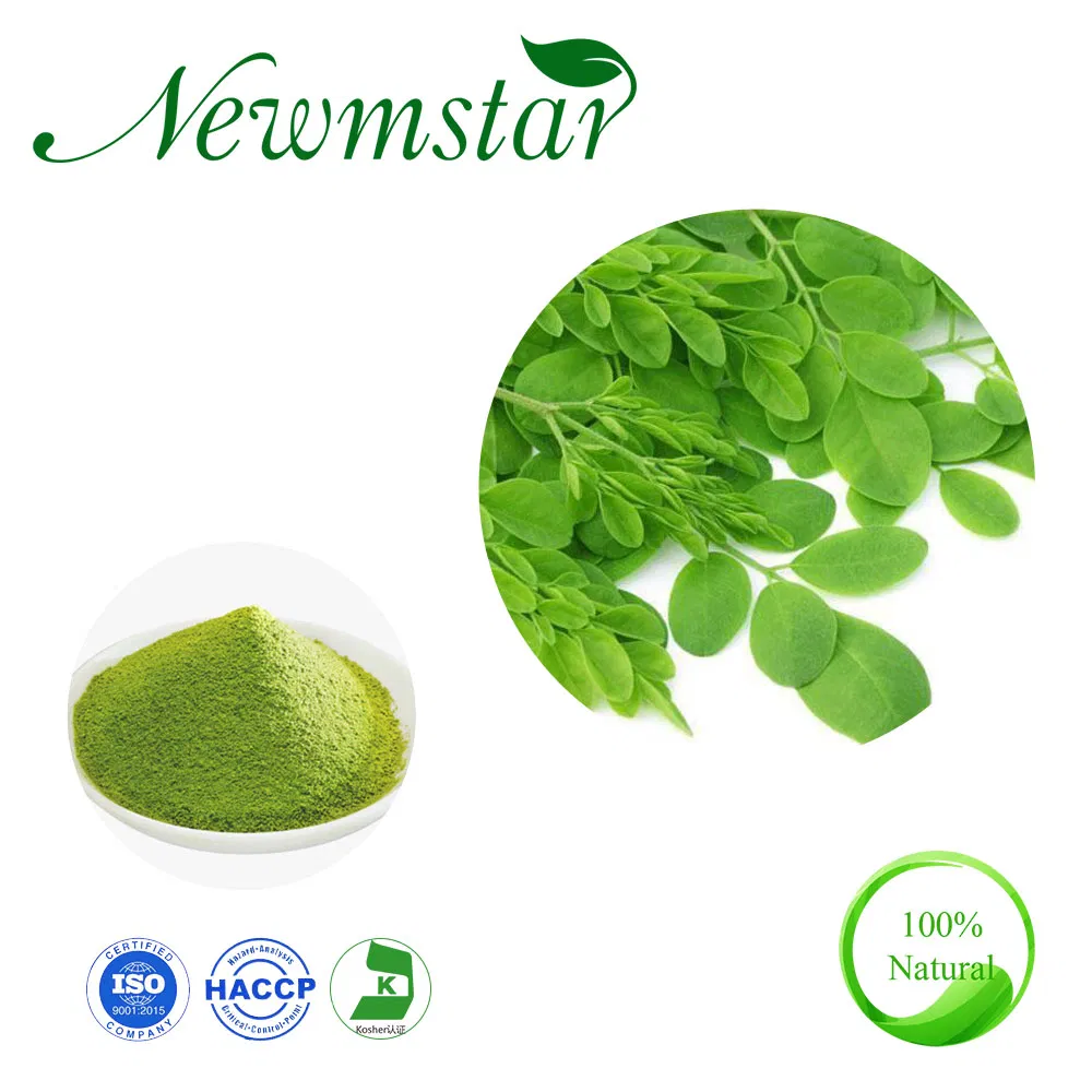 Moringa Oleifera Powder Moringa Leaf Extract