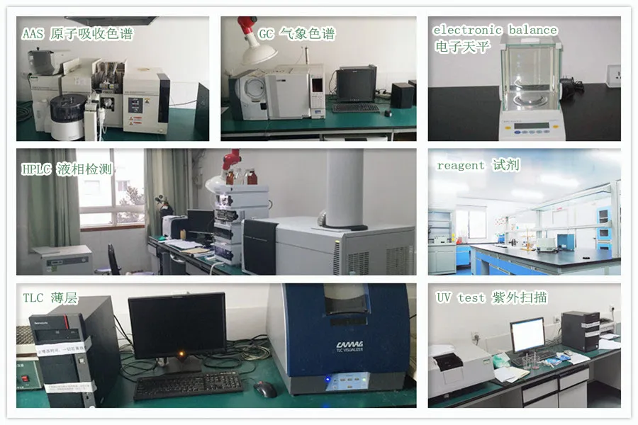 Moringa Oleifera Powder Moringa Leaf Extract