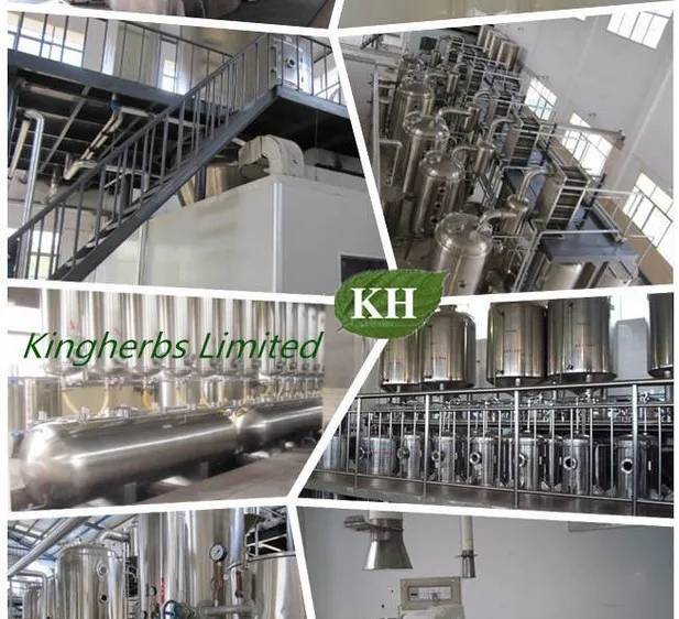 Mulberry Leaf Extract; Morus Alba L.; CAS No.: 19130-96-2