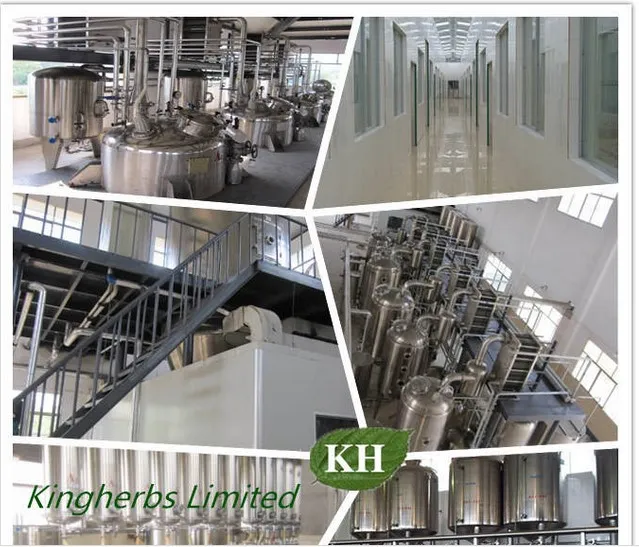 Mulberry Leaf Extract; Morus Alba L.; CAS No.: 19130-96-2