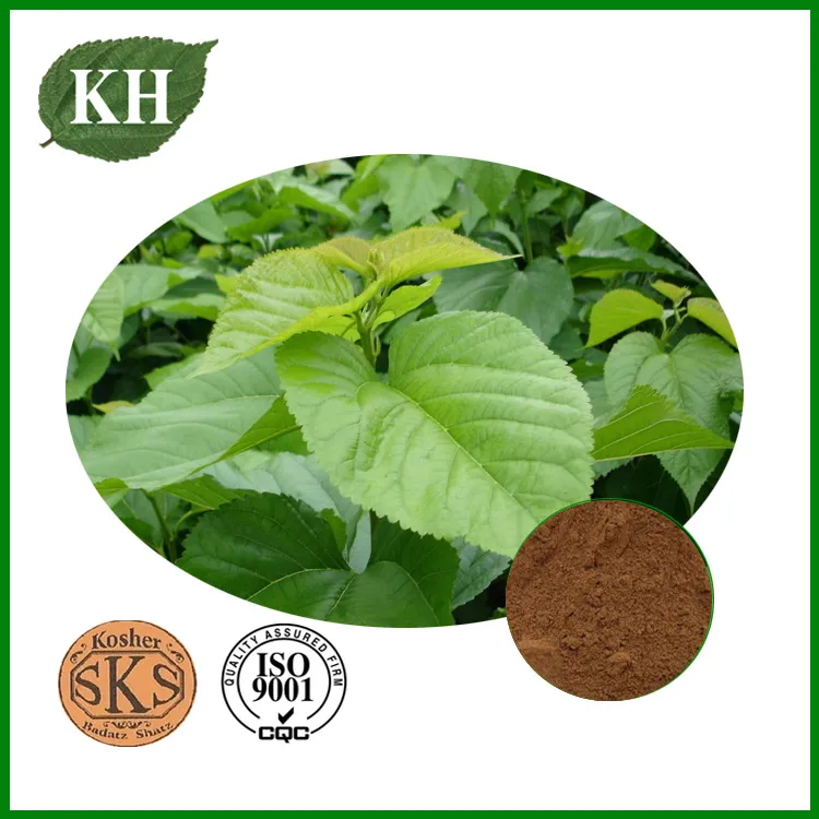 Mulberry Leaf Extract; Morus Alba L.; CAS No.: 19130-96-2