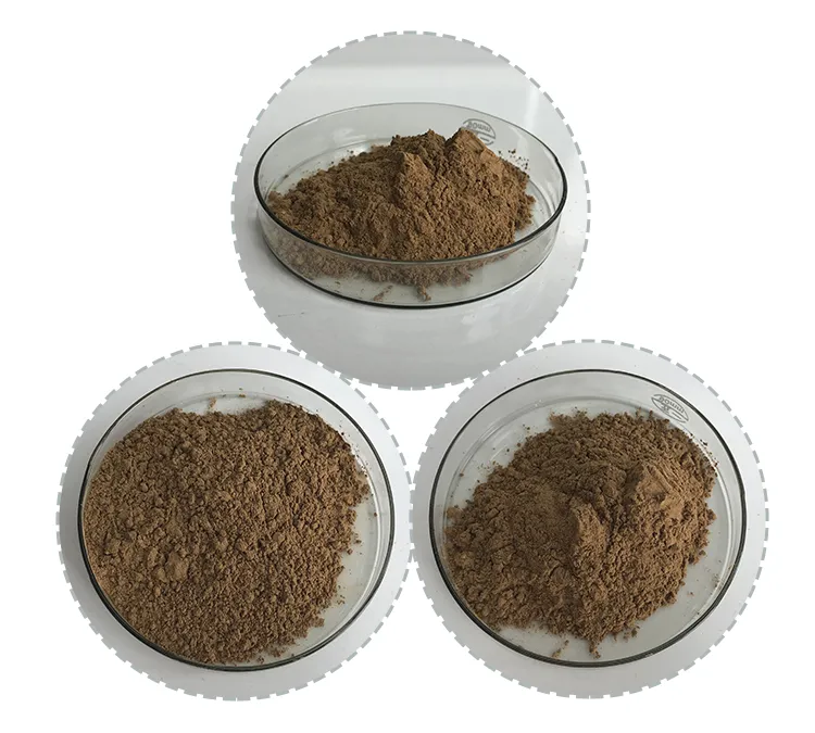 Best Quality 1% 1-Deoxynojirimycin Mulberry Leaf Extract