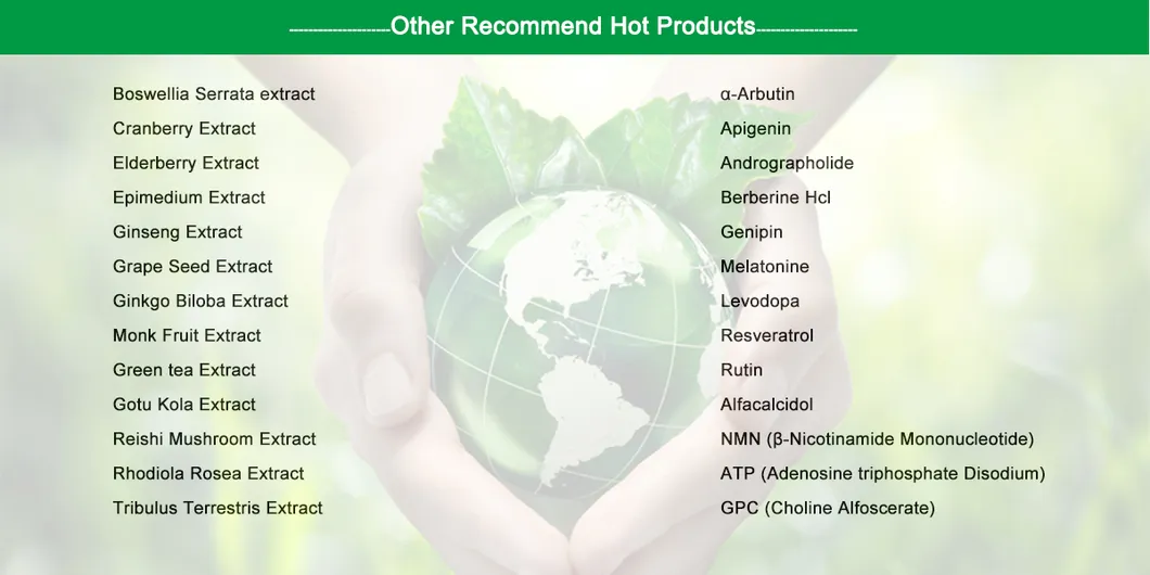 Natural 1%~99.5% HPLC Paclitaxel Powder with CAS 33069-62-4