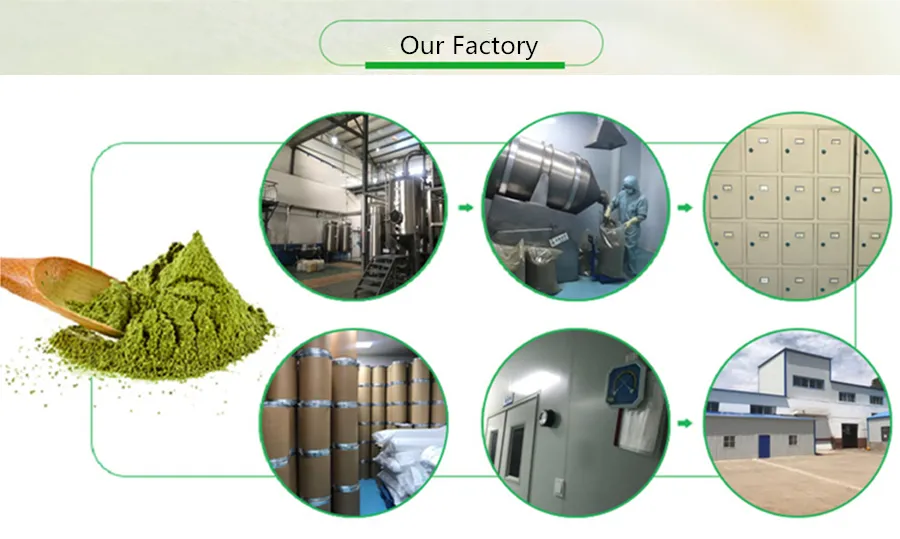 Natural 25% Vitamin C Fruit Powder 4: 1 Standardized Acerola Cherry Extract