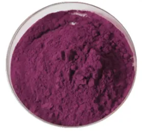 Natural 5%~40% Anthocyanidins Black Aronia Chokeberry Extract Powder