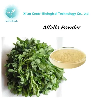 Natural Alfalfa Powder Extract