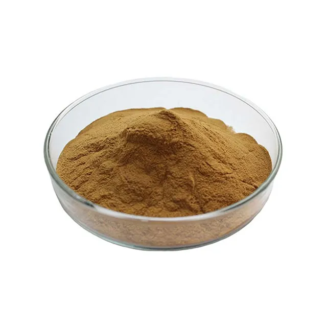 Natural Antioxidant 5%~60% Carnosic Acid Oil Powder Rosemary Extract