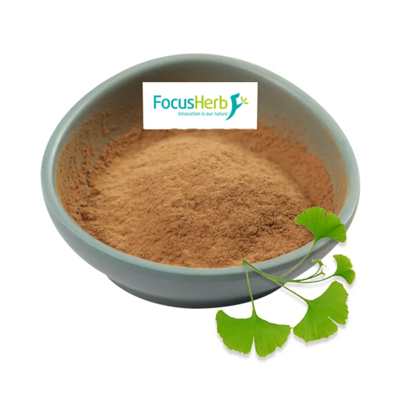 Natural Bulk Gingko Biloba Leaf Extract 24% Flavones 6% Ginkgolide Lactones