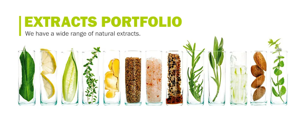 Natural Bulk Gingko Biloba Leaf Extract 24% Flavones 6% Ginkgolide Lactones