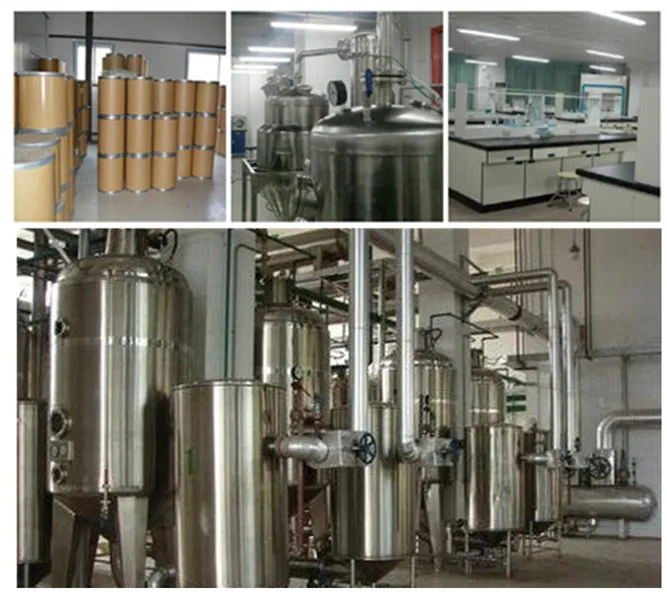 Natural CAS 102518-79-6 Huperzia Serrata Extract Huperzine Powder