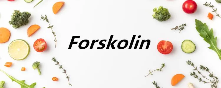 Natural Coleus Forskohlii Root Extract 98% Forskolin
