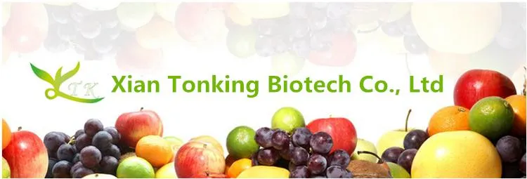 Natural Fresh Fruit Juice Powder Red Dragon Fruit Juice Powder Pitaya Fruit Powder